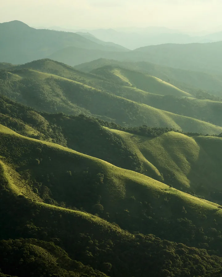 Nature wilderness forest trail tours