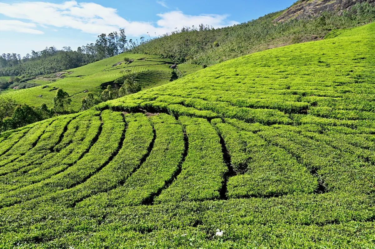 Kerala