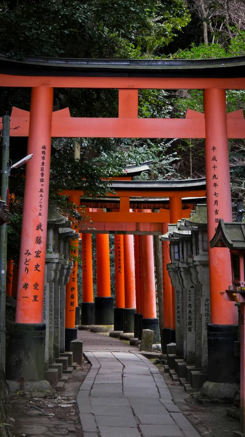 Arashiyama Bamboo Grove