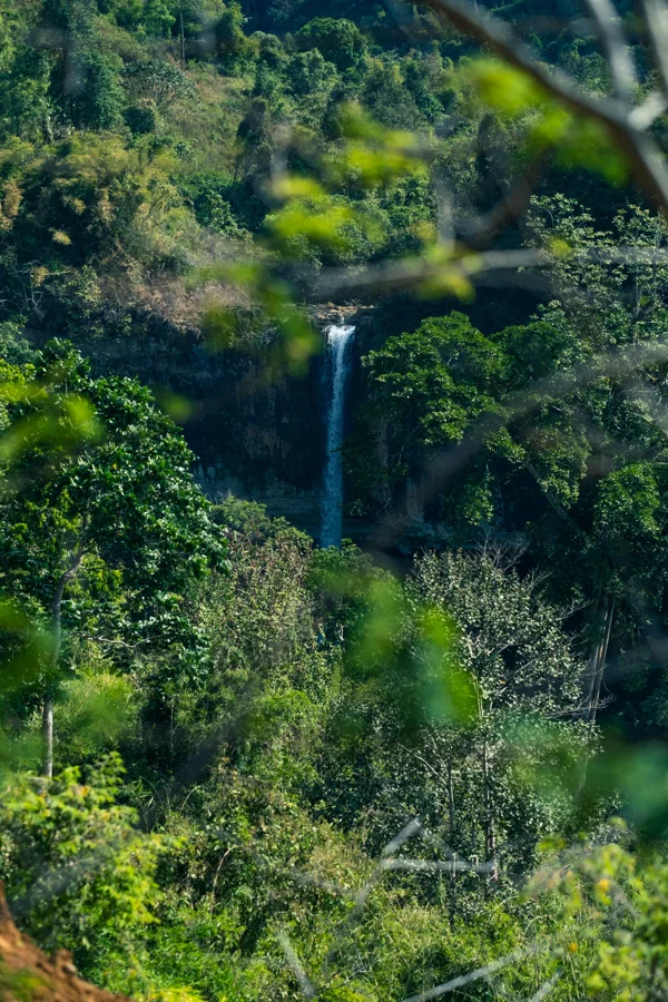 Chamarel Waterfall