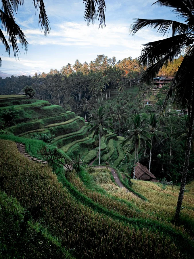 Bali tropical beach with turquoise water and traditional temple architecture