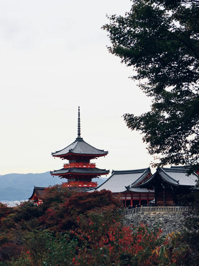 Japan traditional temple surrounded by cherry blossoms and autumn foliage