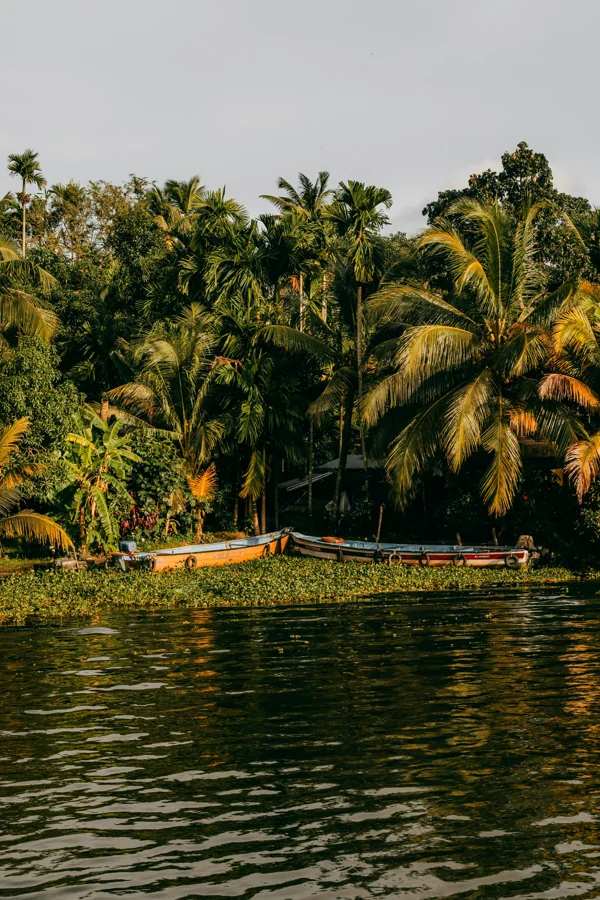 Backwaters of Kerala with traditional houseboat and palm trees