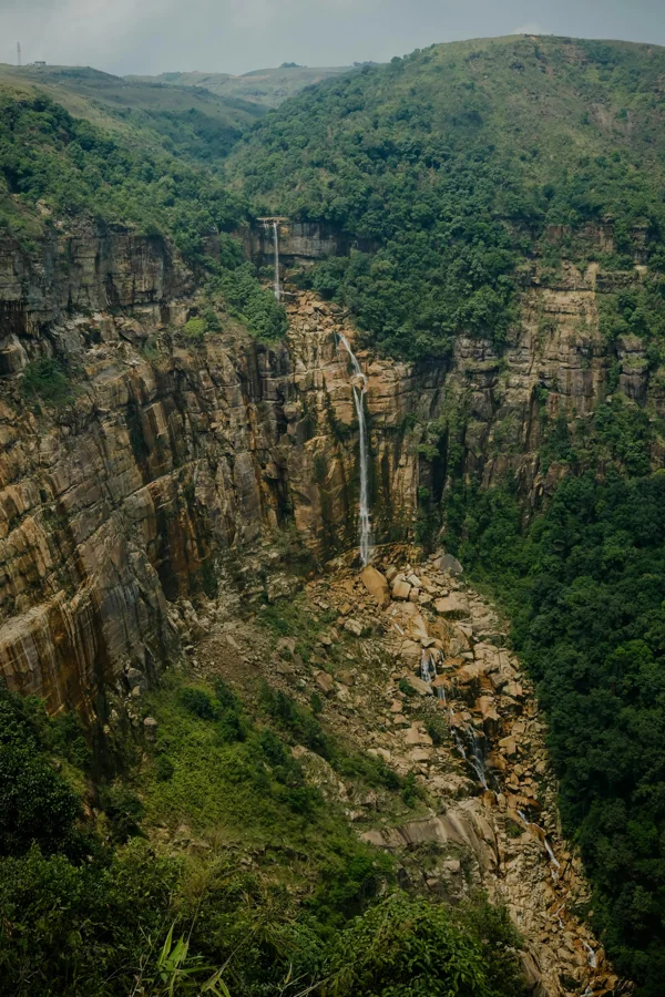 Lush green hills and tea gardens of North East India landscape